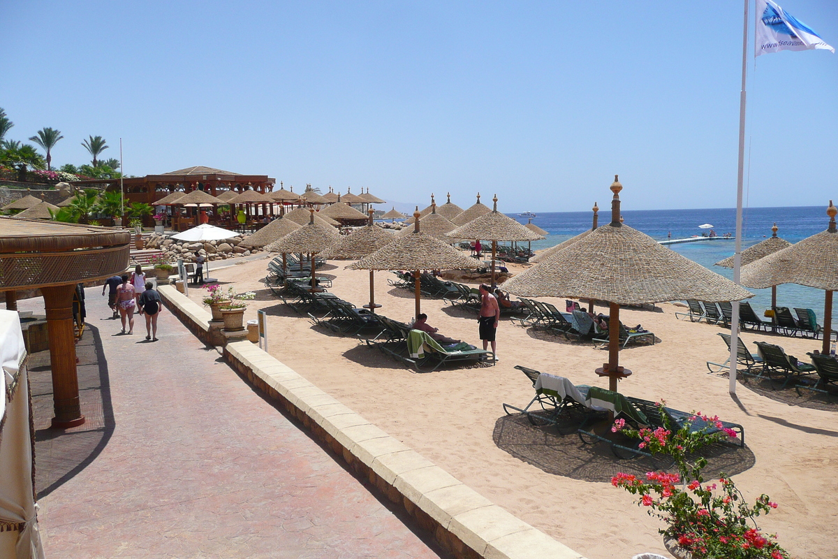 照片 埃及(Egypt) 沙姆沙伊赫(Sharm el Sheikh) 凯悦酒店(Hyatt Hotel) 沙姆沙伊赫凯悦海滩(Hyatt Sharm el Sheikh Beach) 2008-06 7