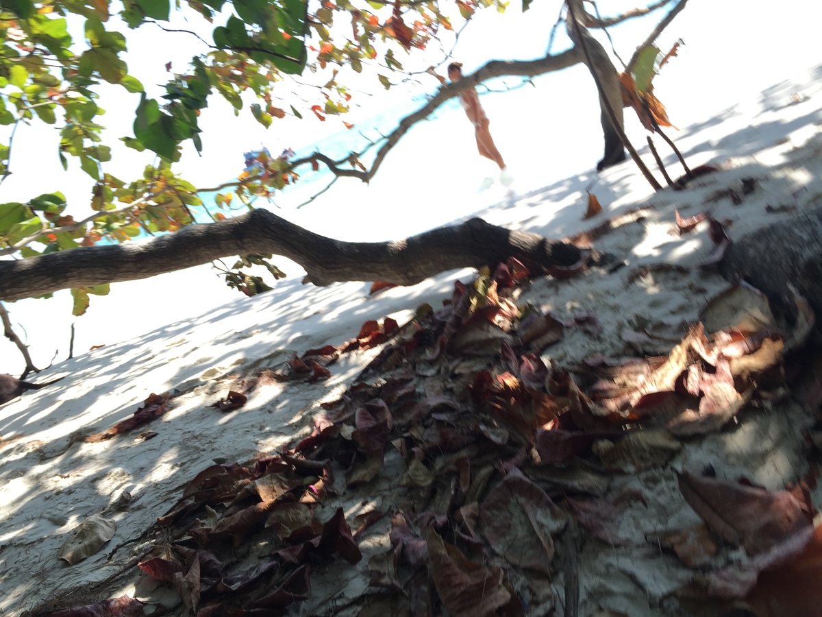 照片 泰国(Thailand) 沙美岛(Ko Samet) 2016-01 88