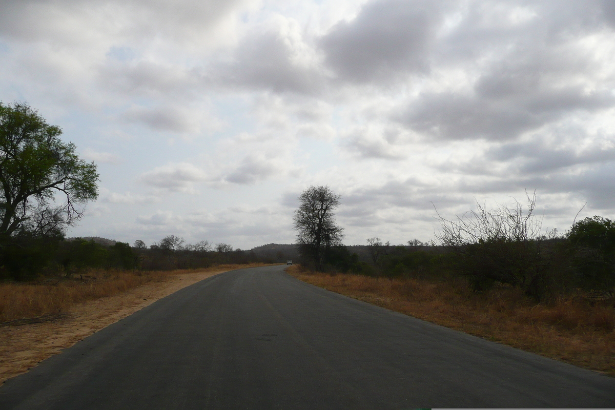 照片 南非(South Africa) 克鲁格国家公园(Kruger National Park) 2008-09 97
