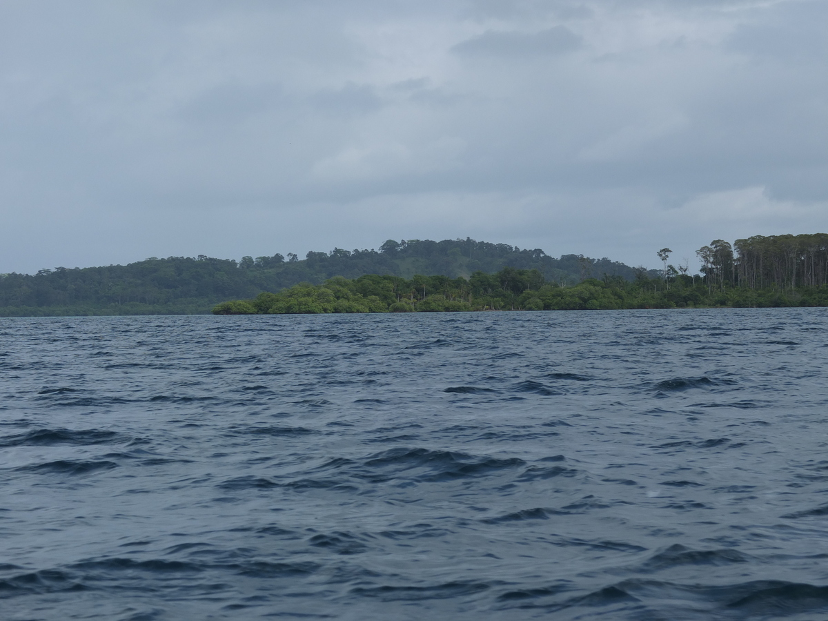 照片 巴拿马(Panama) 博卡斯德尔托罗(Bocas del toro) 2015-03 46