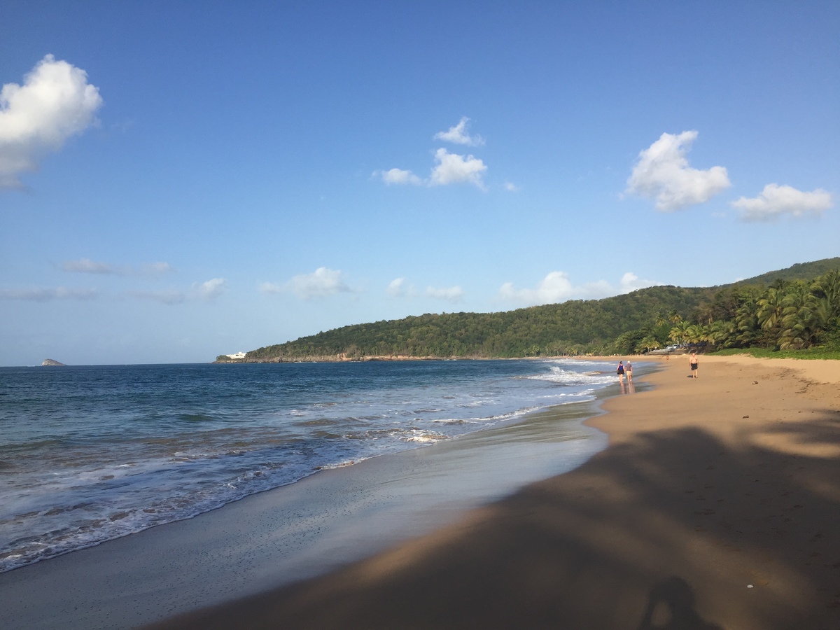 照片 瓜德罗普(Guadeloupe) 珍珠海滩(La Perle Beach) 2021-02 124