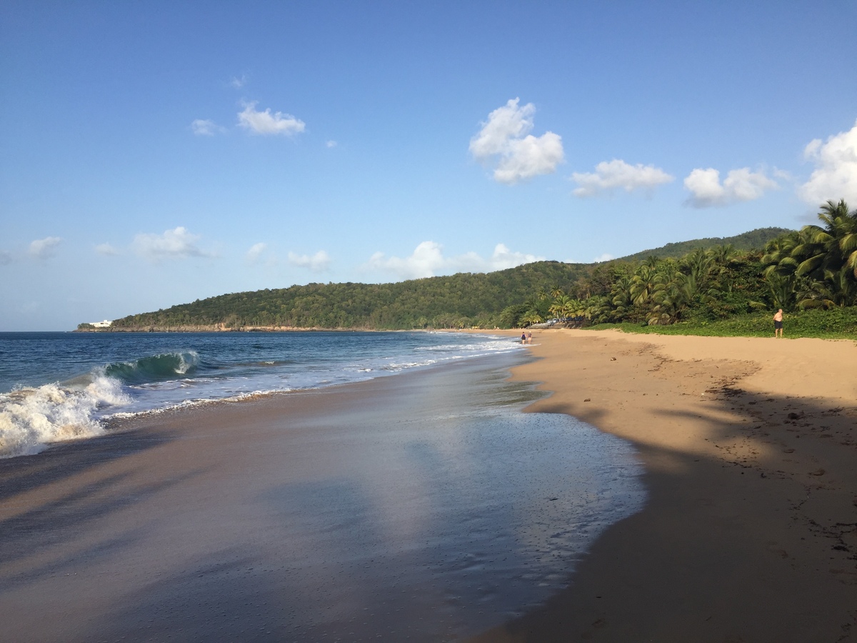 照片 瓜德罗普(Guadeloupe) 珍珠海滩(La Perle Beach) 2021-02 100