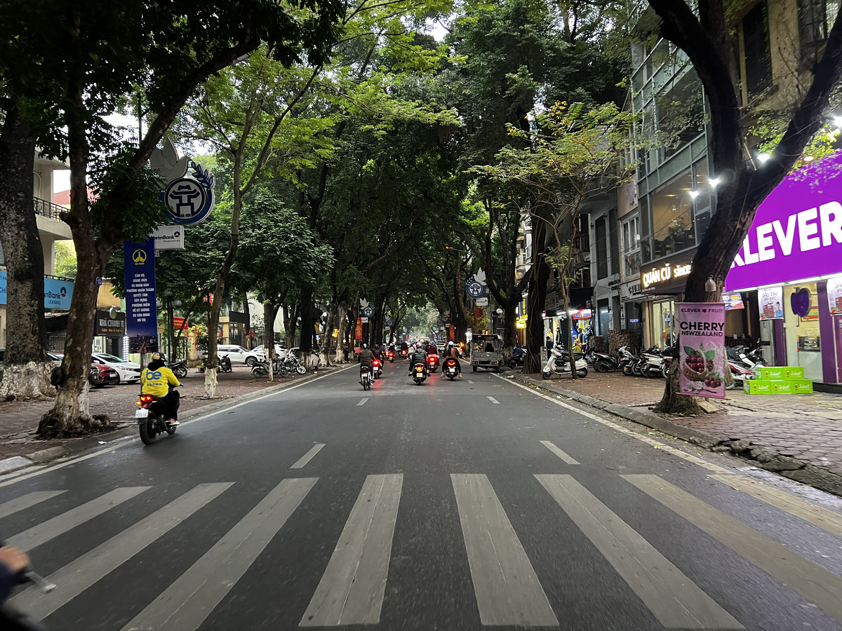 照片 越南(Vietnam) 河内(Hanoi) 2024-01 47