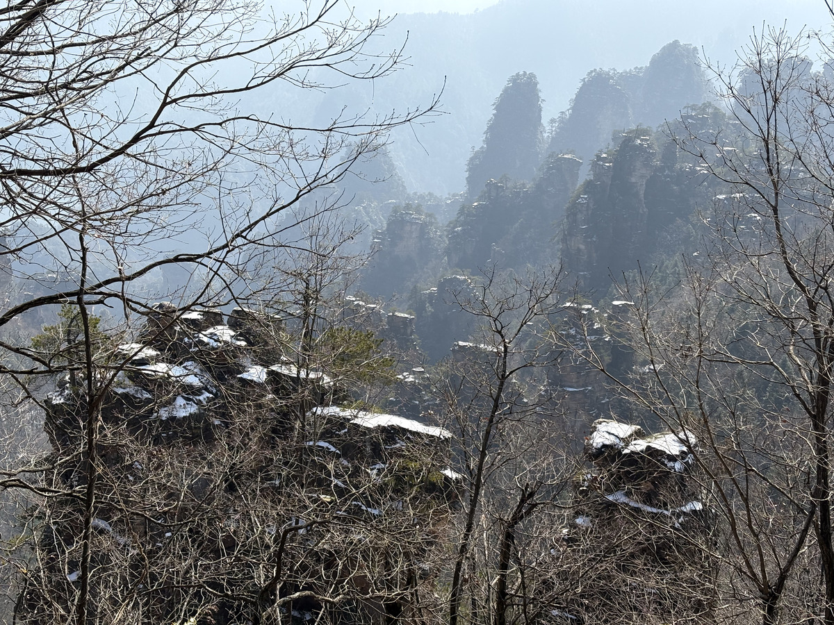 照片 中国(China) 张家界(Zhangjiajie) 天子山(Tianzi Mountain) 2026-01 106