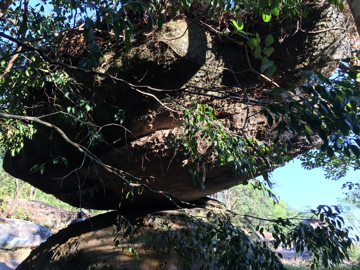 照片 泰国(Thailand) 普欣隆卡国家公园(Phu Hin Rong Kla National Park) 2014-12 209
