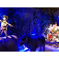照片 法国(France) 巴黎(Paris) 百货公司橱窗(Vitrines Grands Magasins) 2017-11 9