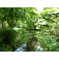 照片 日本(Japan) 京都(Kyoto) 八濑比叡山口站(Yase Hieizanguchi Station) 2010-06 12