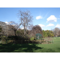 照片 法国(France) 巴黎(Paris) 蒙索公园(Monceau Garden) 2006-03 0