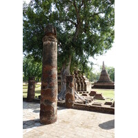 照片 泰国(Thailand) 素可泰(Sukhothai) 2010-12 36
