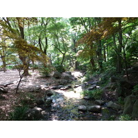 照片 日本(Japan) 东京(Tokyo) 芝公园(Shiba Park) 2010-06 67