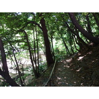 照片 日本(Japan) 东京(Tokyo) 芝公园(Shiba Park) 2010-06 60