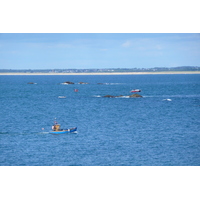照片 法国(France) 基伯龙半岛(Quiberon peninsula) 佩尔绍角(Pointe du Percho) 2008-07 0