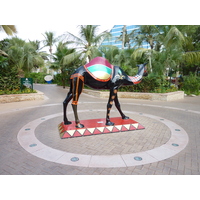 照片 阿联酋(United Arab Emirates) 迪拜(Dubai) 朱美拉海滩酒店(Jumeirah Beach Hotel) 2009-12 22