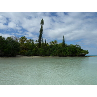 照片 新喀里多尼亚(New Caledonia) 利富岛(Lifou) 海龟湾(Baie des tortues) 2010-05 18