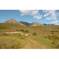 照片 英国(United Kingdom) 苏格兰(Scotland) 2011-07 76