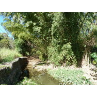 照片 新喀里多尼亚(New Caledonia) 蒂奥至卡纳拉公路(Thio to Canala road) 2010-05 6