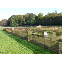 照片 法国(France) 尚蒂伊(Chantilly) 2009-10 108
