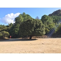照片 法国(France) 科西嘉岛(Corsica) 昆扎(Quenza) 2017-09 8