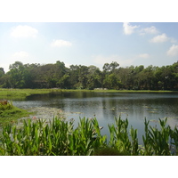 照片 缅甸(Myanmar) 仰光(Yangon) 茵雅湖都喜酒店(Dusit Inya Lake Hotel) 2005-01 20