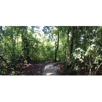 照片 哥斯达黎加(Costa Rica) 曼努埃尔安东尼奥(Manuel Antonio) 2015-03 82