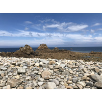 照片 法国(France) 布雷阿岛(Brehat Island) 2020-06 214