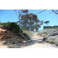 照片 法国(France) 波克罗勒岛(Porquerolles Island) 库尔塔德海滩(Courtade beach) 2008-05 5