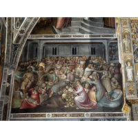 照片 意大利(Italy) 帕多瓦(Padua) 2022-05 126