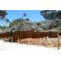 照片 法国(France) 波克罗勒岛(Porquerolles Island) 库尔塔德海滩(Courtade beach) 2008-05 60
