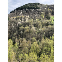 照片 法国(France) 孔克(Conques) 2018-04 111