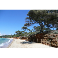 照片 法国(France) 波克罗勒岛(Porquerolles Island) 库尔塔德海滩(Courtade beach) 2008-05 71