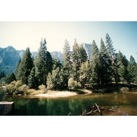 照片 美国(United States) 优胜美地国家公园(Yosemite National Park) 1992-08 0