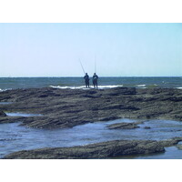 照片 法国(France) 滨海拉普莱讷(La Plaine sur mer) 1999-07 14