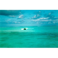 照片 波利尼西亚(Polynesia) 莫雷阿岛(Moorea) 1993-04 100