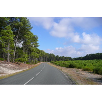 照片 法国(France) 莫比松(Maubuisson) 2007-08 14