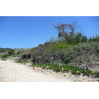 照片 法国(France) 波克罗勒岛(Porquerolles Island) 库尔塔德海滩(Courtade beach) 2008-05 69