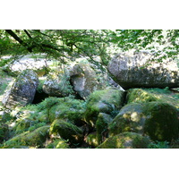 照片 法国(France) 于埃尔瓜特(Huelgoat) 2007-08 149