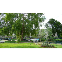 照片 法国(France) 巴黎(Paris) 福煦大街(Avenue Foch) 2007-06 110
