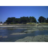 照片 法国(France) 滨海拉普莱讷(La Plaine sur mer) 1999-07 23