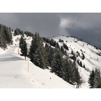 照片 法国(France) 梅杰夫(Megeve) 2019-03 76