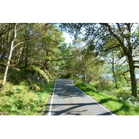 照片 英国(United Kingdom) 苏格兰(Scotland) 萨伦(Salen) 2011-07 61