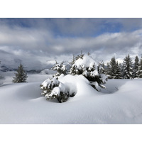 照片 法国(France) 阿尔利河畔普拉(Praz sur Arly) 2019-12 213