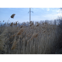 照片 哈萨克斯坦(Kazakhstan) 阿拉木图至恰伦峡谷公路(Almaty to Charyn Canyon road) 2007-03 126