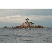 照片 塞舌尔(Seychelles) 拉迪格岛(La Digue) 2011-10 124