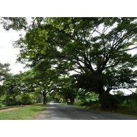 照片 斐济(Fiji) 劳托卡(Lautoka) 2010-05 11