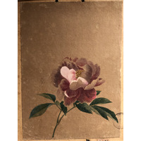 照片 意大利(Italy) 西西里岛(Sicily) 巴勒莫(Palermo) 诺曼王宫(Palazzo dei Normanni) 2020-02 169