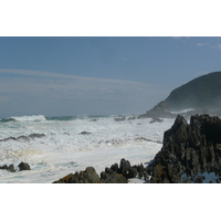 照片 南非(South Africa) 齐齐卡马国家公园(Tsitsikamma National Park) 2008-09 432