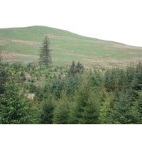 照片 英国(United Kingdom) 布雷肯比肯斯国家公园(Brecon Beacons National Park) 2006-05 94