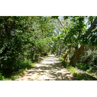 照片 法国(France) 波克罗勒岛(Porquerolles Island) 库尔塔德平原(Plaine de la courtade) 2008-05 41