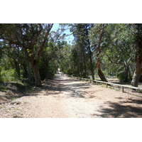 照片 法国(France) 波克罗勒岛(Porquerolles Island) 库尔塔德平原(Plaine de la courtade) 2008-05 26