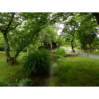 照片 日本(Japan) 京都(Kyoto) 涉成园(Shosei en Garden) 2010-06 70